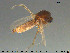  ( - TRD-Cer289)  @11 [ ] CreativeCommons - Attribution Non-Commercial Share-Alike (2015) NTNU University Museum, Department of Natural History NTNU University Museum, Department of Natural History