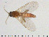  ( - TRD-Cer297)  @11 [ ] CreativeCommons - Attribution Non-Commercial Share-Alike (2015) NTNU University Museum, Department of Natural History NTNU University Museum, Department of Natural History