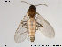  ( - TRD-Cer33)  @12 [ ] CreativeCommons - Attribution Non-Commercial Share-Alike (2014) NTNU University Museum, Department of Natural History NTNU University Museum, Department of Natural History