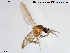  ( - TRD-Cer35)  @12 [ ] CreativeCommons - Attribution Non-Commercial Share-Alike (2014) NTNU University Museum, Department of Natural History NTNU University Museum, Department of Natural History