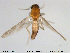  ( - TRD-Cer36)  @13 [ ] CreativeCommons - Attribution Non-Commercial Share-Alike (2014) NTNU University Museum, Department of Natural History NTNU University Museum, Department of Natural History