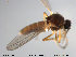  ( - TRD-Cer43)  @12 [ ] CreativeCommons - Attribution Non-Commercial Share-Alike (2014) NTNU University Museum, Department of Natural History NTNU University Museum, Department of Natural History