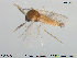  ( - TRD-Cer56)  @13 [ ] CreativeCommons - Attribution Non-Commercial Share-Alike (2014) NTNU University Museum, Department of Natural History NTNU University Museum, Department of Natural History