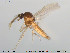  ( - TRD-Cer58)  @12 [ ] CreativeCommons - Attribution Non-Commercial Share-Alike (2014) NTNU University Museum, Department of Natural History NTNU University Museum, Department of Natural History
