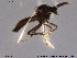  ( - TRD-Cer6)  @11 [ ] CreativeCommons - Attribution Non-Commercial Share-Alike (2014) NTNU University Museum, Department of Natural History NTNU University Museum, Department of Natural History