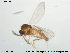  ( - TRD-Cer60)  @12 [ ] CreativeCommons - Attribution Non-Commercial Share-Alike (2014) NTNU University Museum, Department of Natural History NTNU University Museum, Department of Natural History