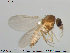  ( - TRD-Cer84)  @13 [ ] CreativeCommons - Attribution Non-Commercial Share-Alike (2014) NTNU University Museum, Department of Natural History NTNU University Museum, Department of Natural History