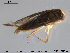  ( - TRD-HET28)  @13 [ ] CreativeCommons - Attribution Non-Commercial Share-Alike (2015) NTNU University Museum, Department of Natural History NTNU University Museum, Department of Natural History