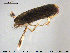  ( - TRD-HET44)  @14 [ ] CreativeCommons - Attribution Non-Commercial Share-Alike (2015) NTNU University Museum, Department of Natural History NTNU University Museum, Department of Natural History