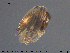  ( - TRD-Nem41)  @11 [ ] CreativeCommons - Attribution Non-Commercial Share-Alike (2015) NTNU University Museum, Department of Natural History NTNU University Museum, Department of Natural History