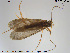  ( - TRD-TRI149)  @13 [ ] CreativeCommons - Attribution Non-Commercial Share-Alike (2014) NTNU University Museum, Department of Natural History NTNU University Museum, Department of Natural History