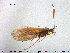  ( - TRD-TRI174)  @13 [ ] CreativeCommons - Attribution Non-Commercial Share-Alike (2015) NTNU University Museum, Department of Natural History NTNU University Museum, Department of Natural History