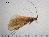  ( - TRD-TRI175)  @12 [ ] CreativeCommons - Attribution Non-Commercial Share-Alike (2015) NTNU University Museum, Department of Natural History NTNU University Museum, Department of Natural History