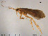  ( - TRD-TRI212)  @14 [ ] CreativeCommons - Attribution Non-Commercial Share-Alike (2015) NTNU University Museum, Department of Natural History NTNU University Museum, Department of Natural History