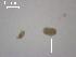  ( - A.BC.B.J.CF31.2)  @12 [ ] Copyright (2010) Unspecified Environment Canada