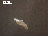  ( - Am.IN.FIS.Nv.1.11)  @12 [ ] Copyright (2010) Unspecified Environment Canada