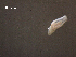  ( - Am.IN.FIS.Nv.1.12)  @11 [ ] Copyright (2010) Unspecified Environment Canada