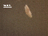  ( - Am.IN.FIS.Nv.1.13)  @12 [ ] Copyright (2010) Unspecified Environment Canada