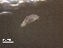  ( - Am.IN.FIS.Nv.1.14)  @11 [ ] Copyright (2010) Unspecified Environment Canada