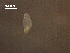  ( - Am.IN.FIS.Nv.1.15)  @11 [ ] Copyright (2010) Unspecified Environment Canada