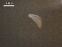  ( - Am.IN.FIS.Nv.1.16)  @11 [ ] Copyright (2010) Unspecified Environment Canada