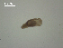  ( - Am.IN.FIS.Nv.1.1)  @12 [ ] Copyright (2010) Unspecified Environment Canada
