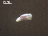  ( - Am.IN.FIS.Nv.1.1)  @12 [ ] Copyright (2010) Unspecified Environment Canada