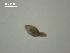  ( - Am.IN.FIS.Nv.1.2)  @12 [ ] Copyright (2010) Unspecified Environment Canada