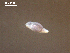  ( - Am.IN.FIS.Nv.1.2)  @12 [ ] Copyright (2010) Unspecified Environment Canada