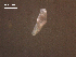  ( - Am.IN.FIS.Nv.1.3)  @12 [ ] Copyright (2010) Unspecified Environment Canada