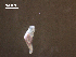  ( - Am.IN.FIS.Nv.1.4)  @12 [ ] Copyright (2010) Unspecified Environment Canada