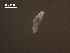  ( - Am.IN.FIS.Nv.1.6)  @11 [ ] Copyright (2010) Unspecified Environment Canada