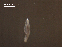  ( - Am.IN.FIS.Nv.1.7)  @13 [ ] Copyright (2010) Unspecified Environment Canada
