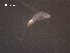  ( - Am.IN.FIS.Nv.1.8)  @12 [ ] Copyright (2010) Unspecified Environment Canada