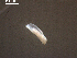  ( - Am.IN.FIS.Nv.1.9)  @12 [ ] Copyright (2010) Unspecified Environment Canada