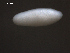  ( - Cv.IN.S08.Em.1.1)  @11 [ ] Copyright (2010) Unspecified Environment Canada
