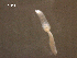  ( - D.IN.SNI.La.1.15)  @13 [ ] Copyright (2010) Unspecified Environment Canada