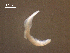  ( - D.IN.SNI.La.1.18)  @13 [ ] Copyright (2010) Unspecified Environment Canada