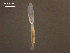  ( - D.IN.SSO.Ld.3F.1)  @13 [ ] Copyright (2010) Unspecified Environment Canada