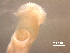  ( - Ech.IN.SNI.Pa.1.1)  @12 [ ] Copyright (2010) Unspecified Environment Canada