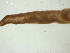  ( - Ech.IN.SNI.Pa.1.6)  @13 [ ] Copyright (2010) Unspecified Environment Canada