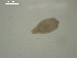  ( - H.LM.S08.G.3F.1)  @11 [ ] Copyright (2010) Unspecified Environment Canada