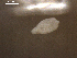  ( - H.LM.S08.G.3F.1)  @11 [ ] Copyright (2010) Unspecified Environment Canada