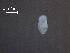 ( - H.RM.B.In.1.1)  @11 [ ] Copyright (2010) Unspecified Environment Canada