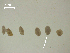  ( - H.RM.D.Cc.1.1)  @11 [ ] Copyright (2010) Unspecified Environment Canada
