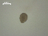  ( - H.RM.IVT.Cc.2F.1)  @11 [ ] Copyright (2010) Unspecified Environment Canada