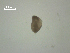  ( - H.RM.IVT.Cco.1f.1)  @11 [ ] Copyright (2010) Unspecified Environment Canada