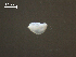  ( - H.RM.IVT.Cco.1f.1)  @11 [ ] Copyright (2010) Unspecified Environment Canada
