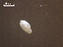  ( - H.RM.IVT.Cco.1f.2)  @11 [ ] Copyright (2010) Unspecified Environment Canada