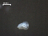  ( - H.RM.IVT.Cco.1f.3)  @11 [ ] Copyright (2010) Unspecified Environment Canada